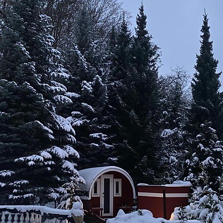 Gaestehaus Gaens - Ferienzimmer Schirgiswalde-Kirschau Bagian luar foto